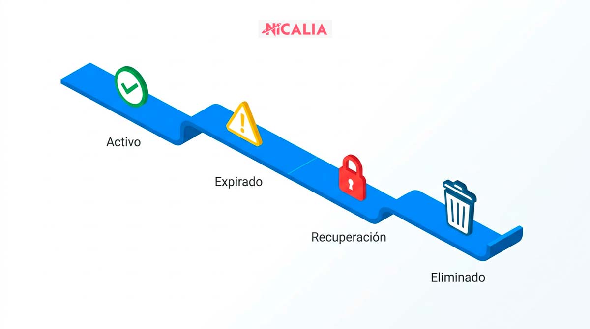 Ciclo de vida de los dominios en Nicalia