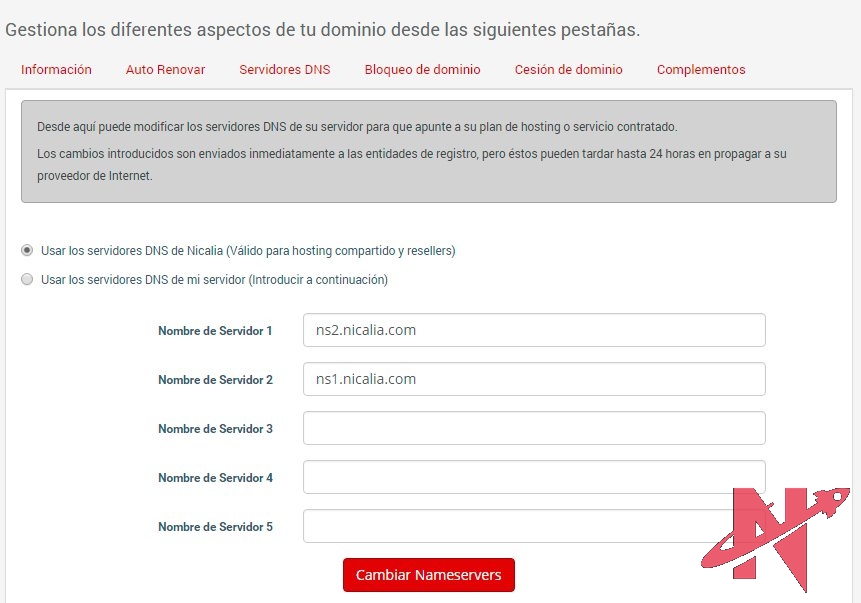 servidor-dns-area-cliente-nicalia