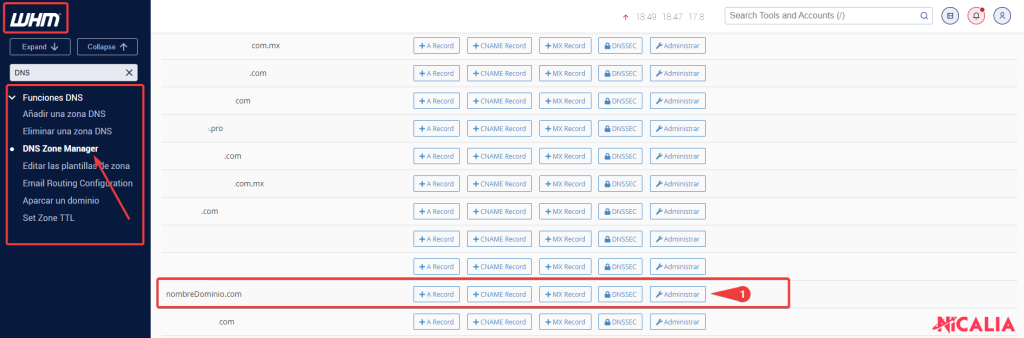 Interfaz del DNS Zone Manager en WHM mostrando la lista de dominios con el botón Administrar para editar la zona DNS
