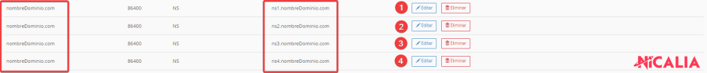 Editor de zona DNS en WHM mostrando la fila para añadir un nuevo registro de tipo NS apuntando a un nameserver personalizado