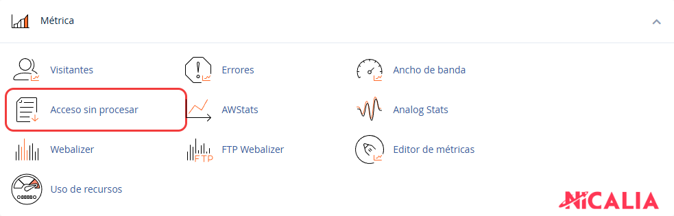 Sección Métrica de cPanel con la herramienta Acceso sin procesar destacada